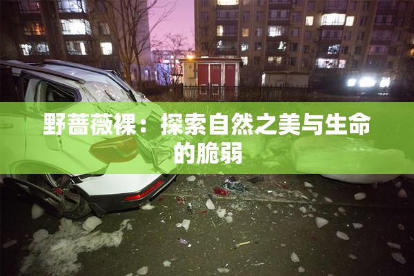 野蔷薇裸：探索自然之美与生命的脆弱