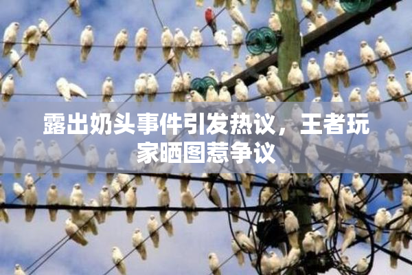 露出奶头事件引发热议，王者玩家晒图惹争议