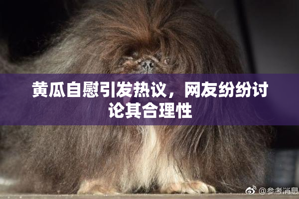 黄瓜自慰引发热议，网友纷纷讨论其合理性
