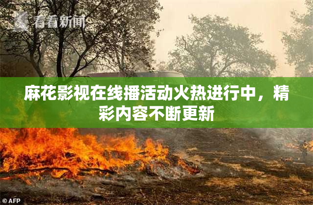 麻花影视在线播活动火热进行中，精彩内容不断更新