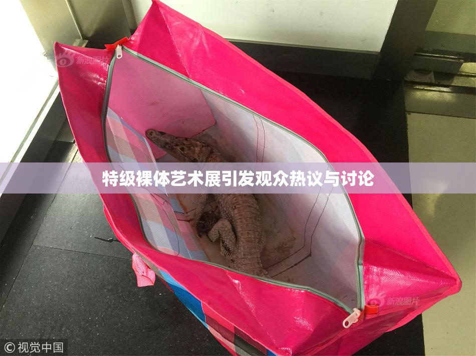 特级裸体艺术展引发观众热议与讨论