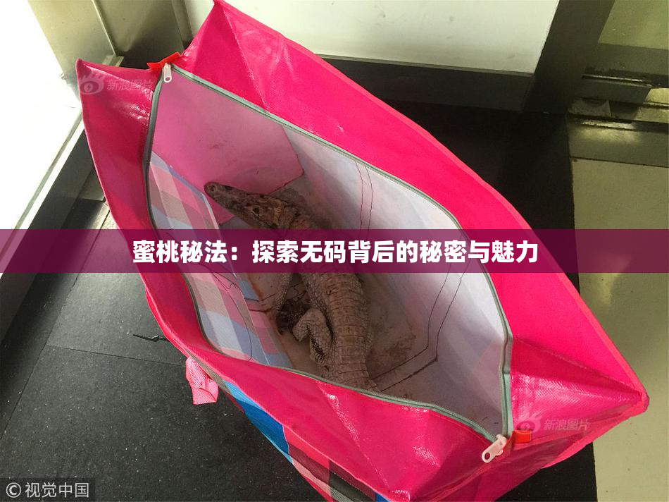 蜜桃秘法：探索无码背后的秘密与魅力