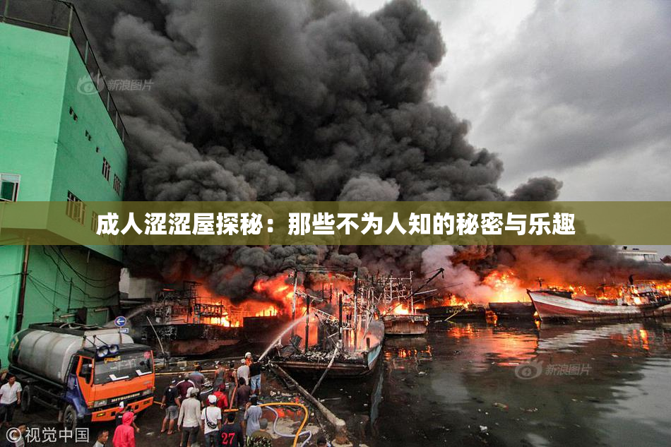 成人涩涩屋探秘：那些不为人知的秘密与乐趣