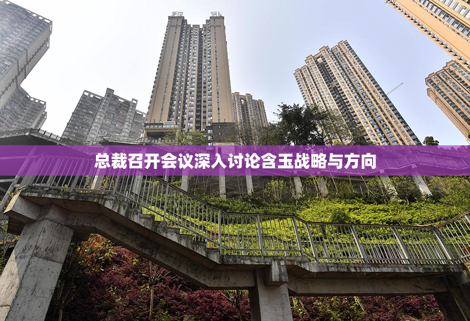 总裁召开会议深入讨论含玉战略与方向