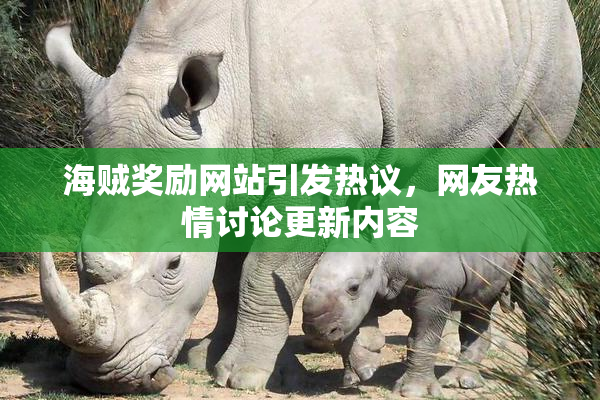 海贼奖励网站引发热议，网友热情讨论更新内容