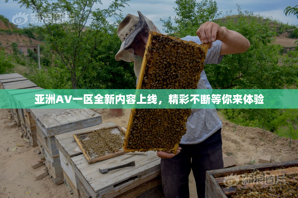 亚洲AV一区全新内容上线，精彩不断等你来体验