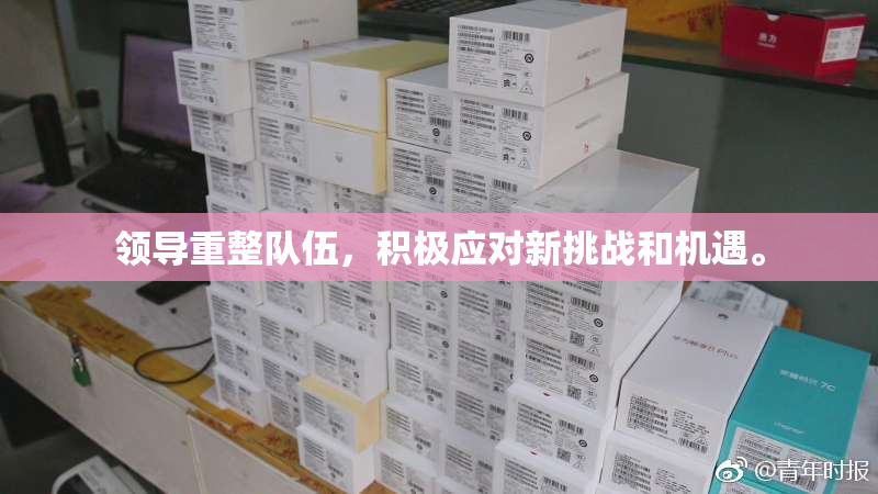 领导重整队伍，积极应对新挑战和机遇。