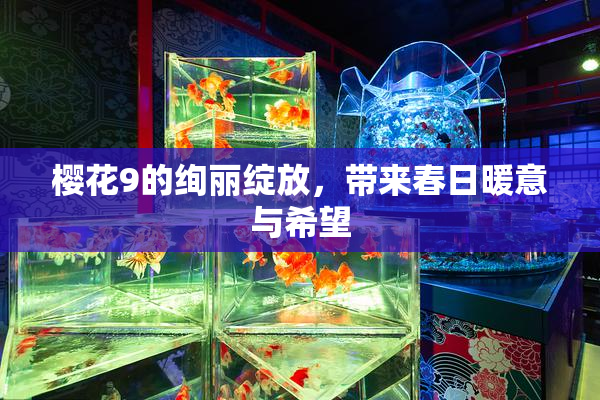 樱花9的绚丽绽放，带来春日暖意与希望