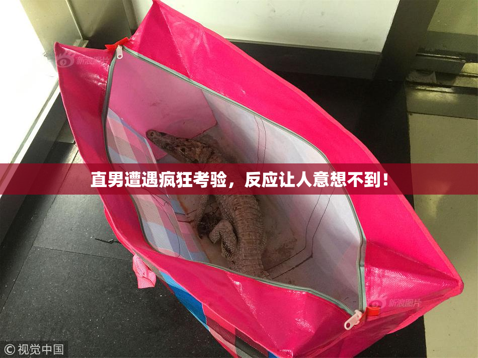 直男遭遇疯狂考验，反应让人意想不到！