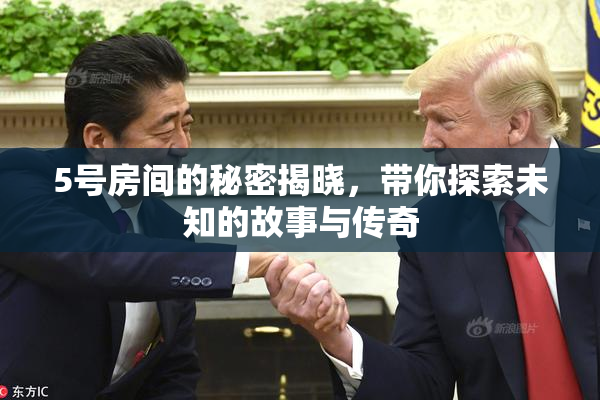 5号房间的秘密揭晓，带你探索未知的故事与传奇