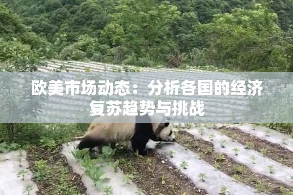 欧美市场动态：分析各国的经济复苏趋势与挑战