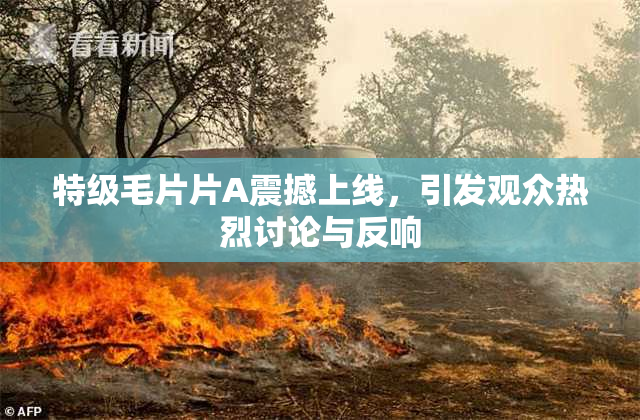 特级毛片片A震撼上线，引发观众热烈讨论与反响