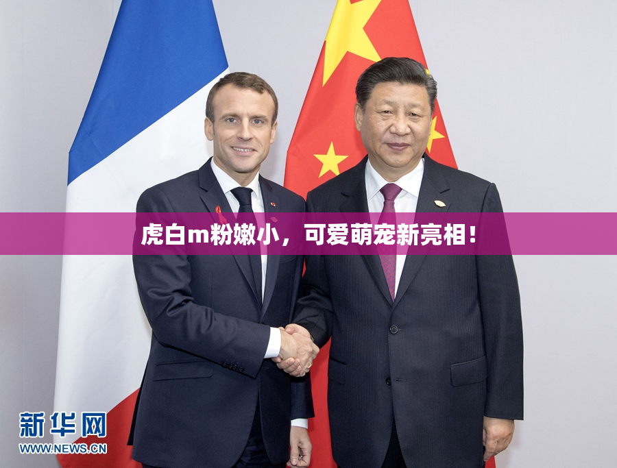 虎白m粉嫩小，可爱萌宠新亮相！