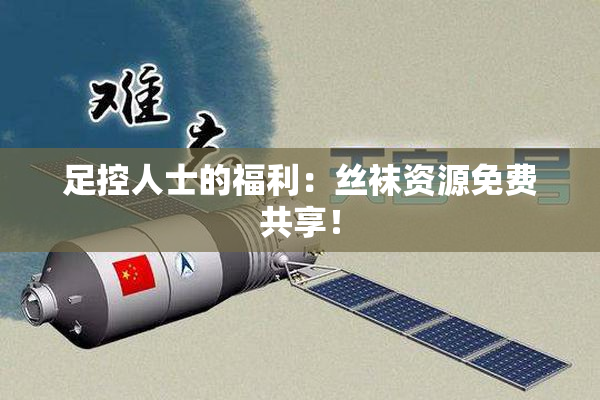 足控人士的福利：丝袜资源免费共享！