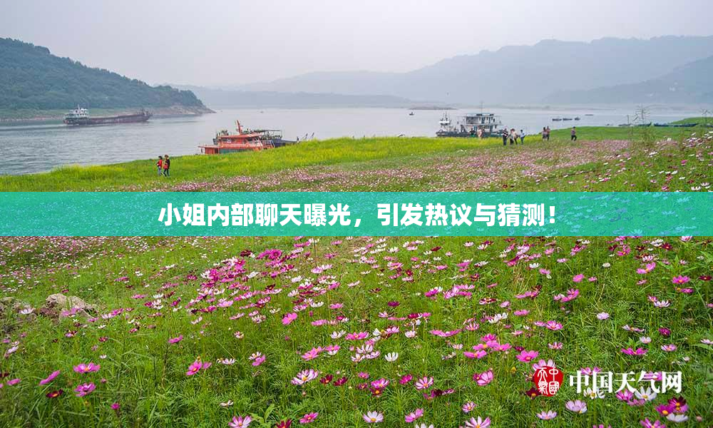 小姐内部聊天曝光，引发热议与猜测！