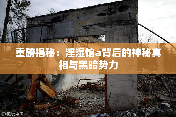 重磅揭秘：淫湿馆a背后的神秘真相与黑暗势力