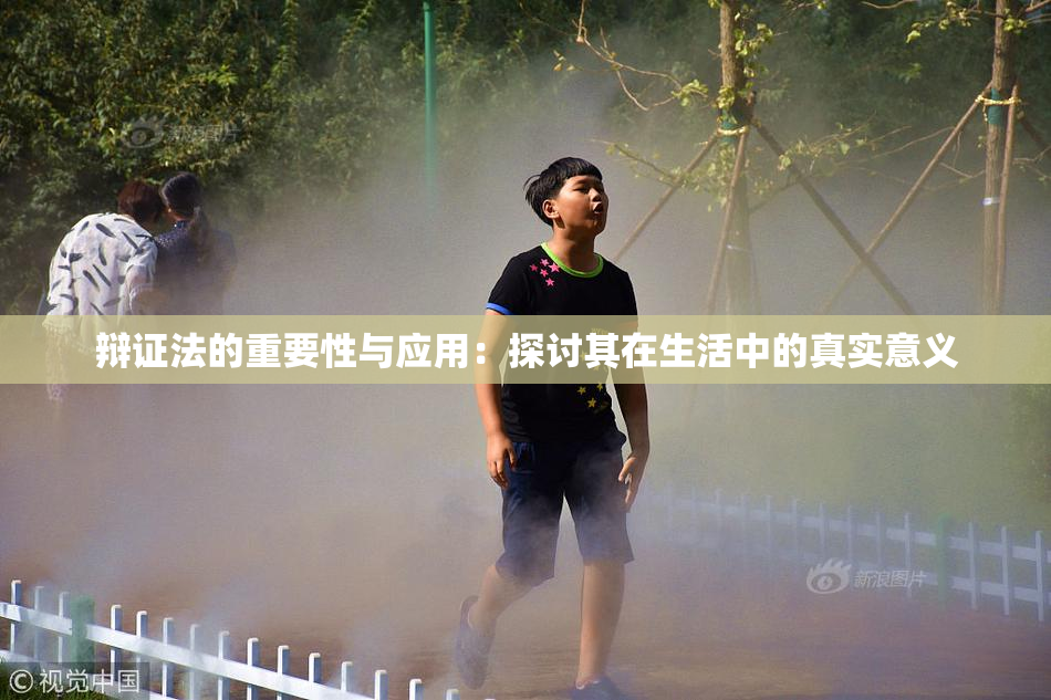辩证法的重要性与应用：探讨其在生活中的真实意义