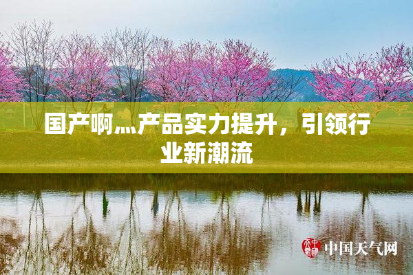 国产啊灬产品实力提升，引领行业新潮流