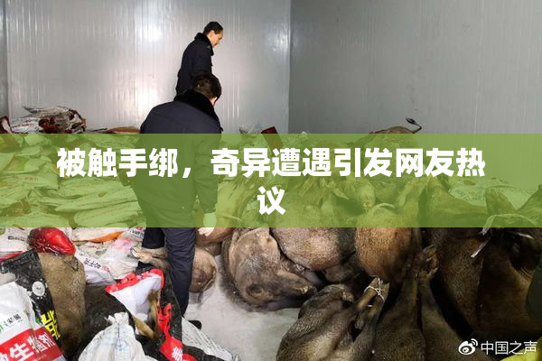 被触手绑，奇异遭遇引发网友热议