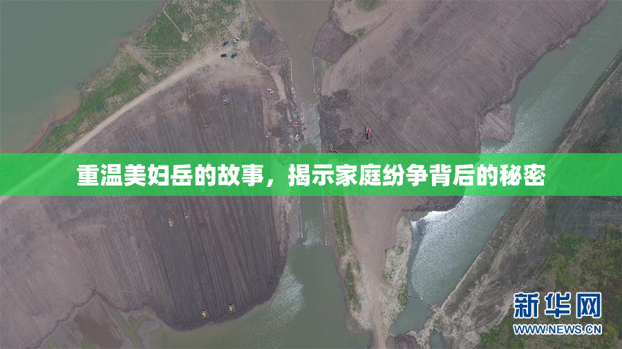 重温美妇岳的故事，揭示家庭纷争背后的秘密