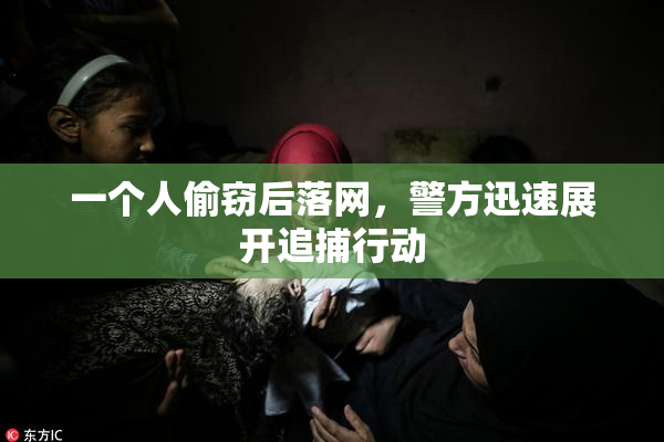 一个人偷窃后落网，警方迅速展开追捕行动