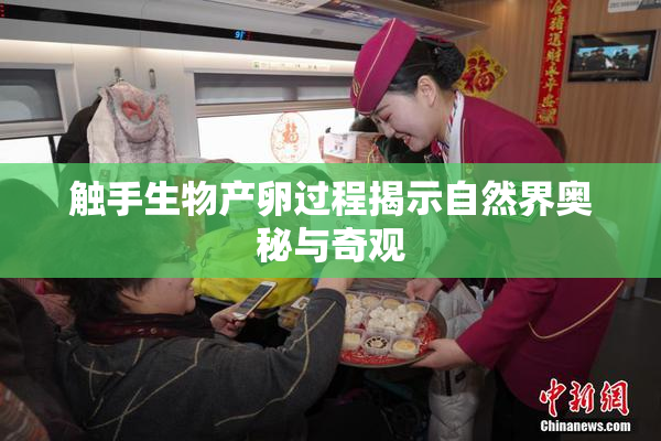 触手生物产卵过程揭示自然界奥秘与奇观