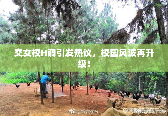 交女校H调引发热议，校园风波再升级！