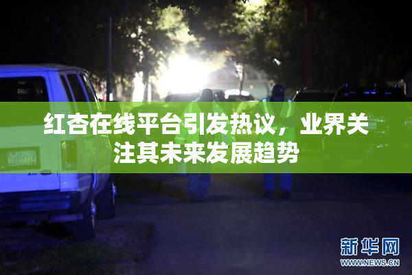 红杏在线平台引发热议，业界关注其未来发展趋势