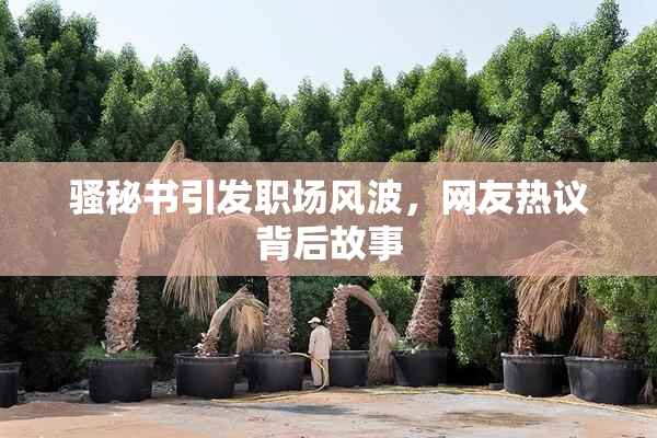 骚秘书引发职场风波，网友热议背后故事