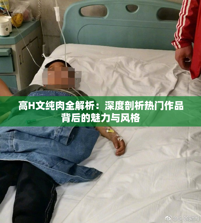高H文纯肉全解析：深度剖析热门作品背后的魅力与风格