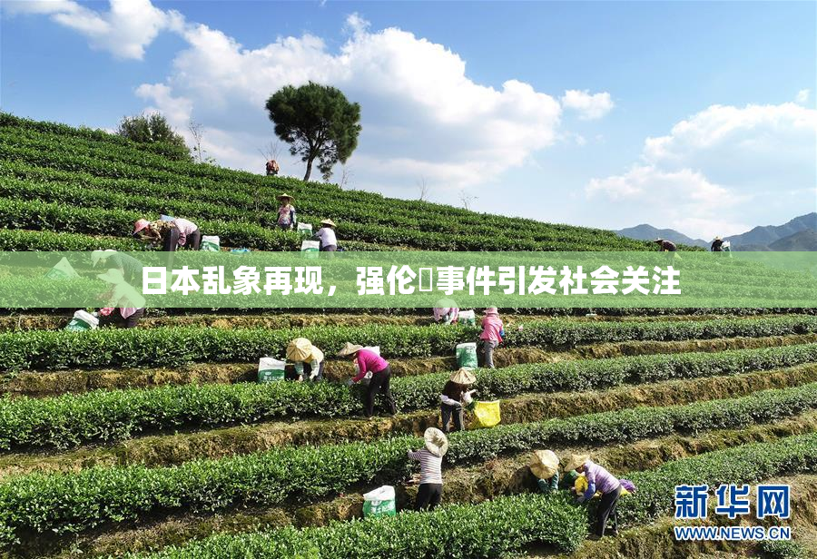 日本乱象再现，强伦乂事件引发社会关注