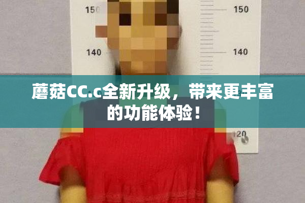 蘑菇CC.c全新升级，带来更丰富的功能体验！
