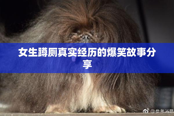 女生蹲厕真实经历的爆笑故事分享