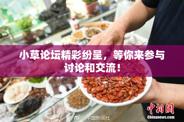 小草论坛精彩纷呈，等你来参与讨论和交流！