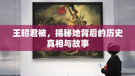 王昭君被，揭秘她背后的历史真相与故事