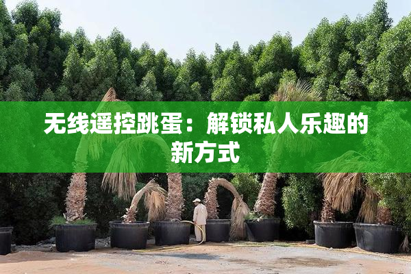 无线遥控跳蛋：解锁私人乐趣的新方式