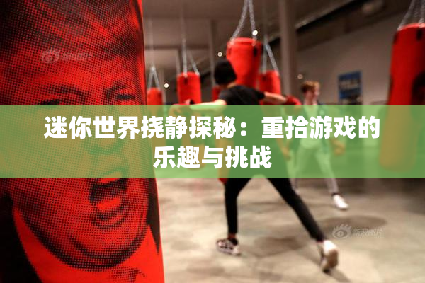 迷你世界挠静探秘：重拾游戏的乐趣与挑战
