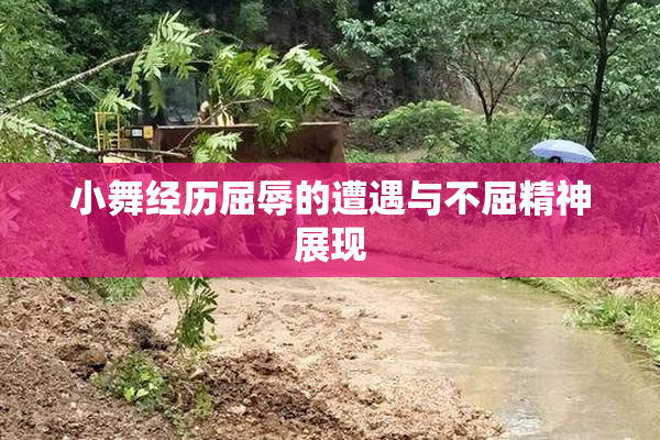 小舞经历屈辱的遭遇与不屈精神展现