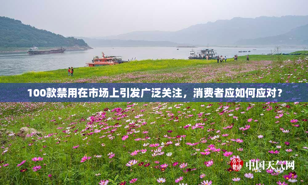100款禁用在市场上引发广泛关注，消费者应如何应对？
