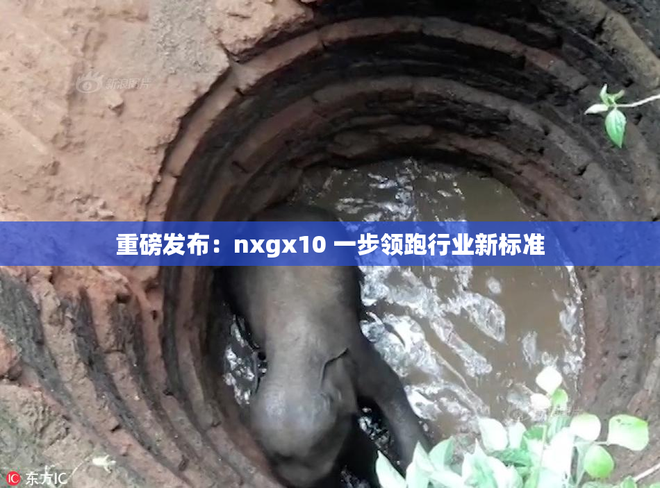 重磅发布：nxgx10 一步领跑行业新标准