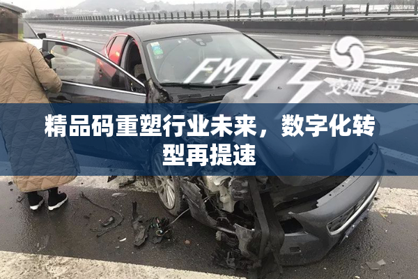 精品码重塑行业未来，数字化转型再提速