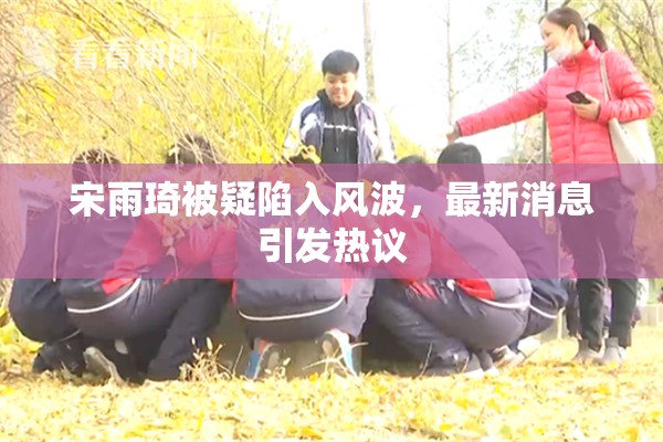 宋雨琦被疑陷入风波，最新消息引发热议