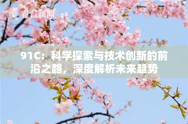 91C：科学探索与技术创新的前沿之路，深度解析未来趋势