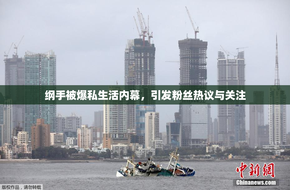 纲手被爆私生活内幕，引发粉丝热议与关注