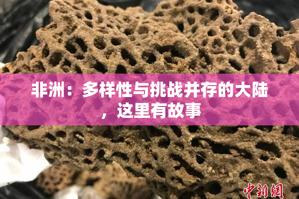 非洲：多样性与挑战并存的大陆，这里有故事