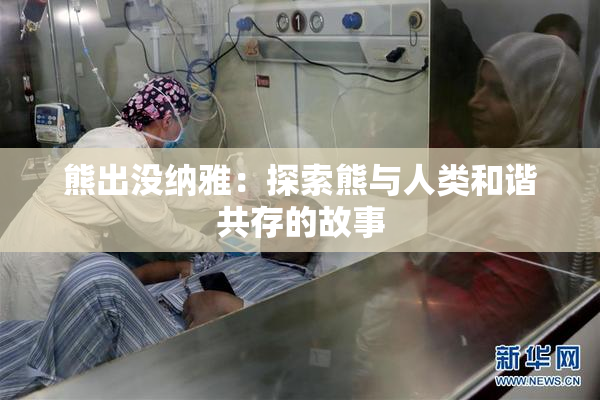熊出没纳雅：探索熊与人类和谐共存的故事