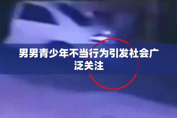 男男青少年不当行为引发社会广泛关注