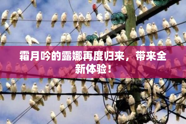 霜月吟的露娜再度归来，带来全新体验！