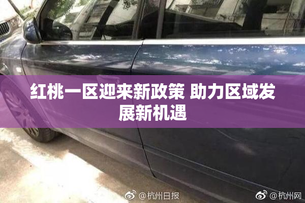 红桃一区迎来新政策 助力区域发展新机遇