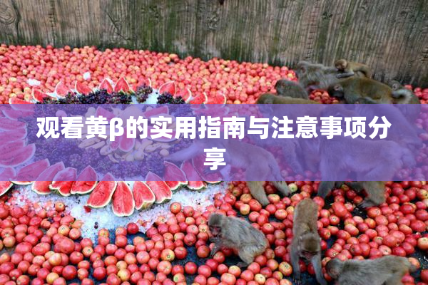 观看黄β的实用指南与注意事项分享